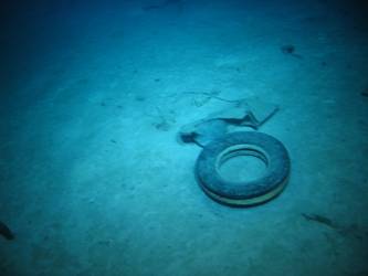Rubber tyre - possibly from aircraft